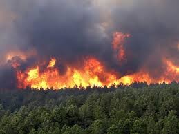 Violentos fogos florestais nos Estados Unidos