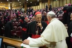 Papa Francisco nomeou alguns Padres Sinodais para a redação do Relatório do Sínodo 