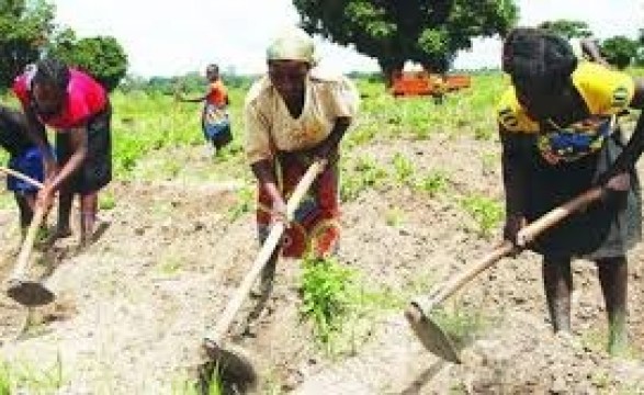 Construção da barragem do rio Cunene na Huila, camponeses temem pela sobrevivência