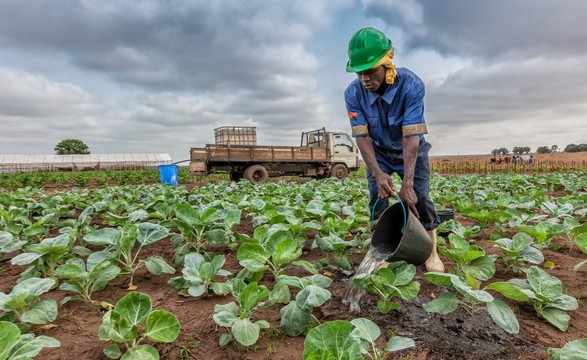 Agricultores no Dombe grande revelam haver no mercado fertilizantes adulterados