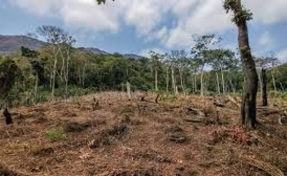 Combate à fome, Diocese de Lwena lança projecto agro-florestal