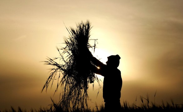 É pelo Sul do mundo que a economia está a crescer