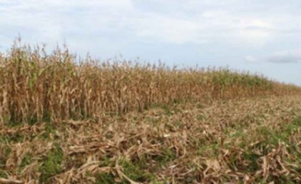 Seca afecta populares do interior de Benguela