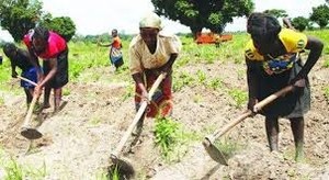 Construção da barragem do rio Cunene na Huila, camponeses temem pela sobrevivência