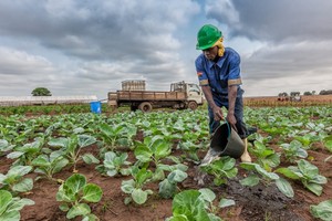Agricultores no Dombe grande revelam haver no mercado fertilizantes adulterados