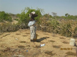 A seca ameaça famílias na, província do Namibe,no município do virei